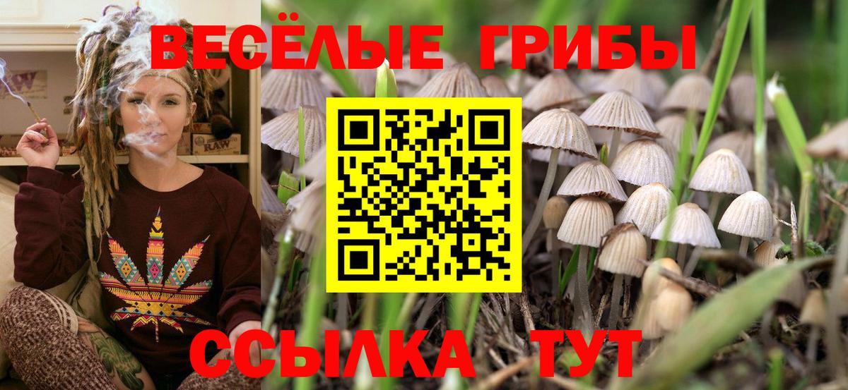 Галлюциногенные грибы MAGIC MUSHROOMS  Вход с VPN  Барнаул 