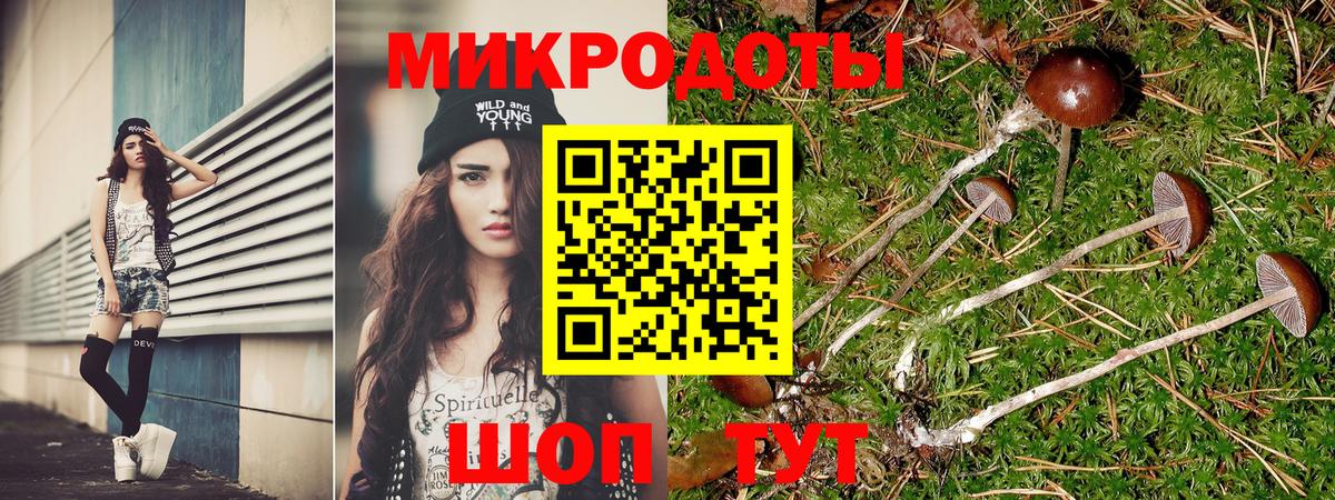 Галлюциногенные грибы прущие грибы Барнаул